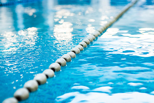 Sport Adulte