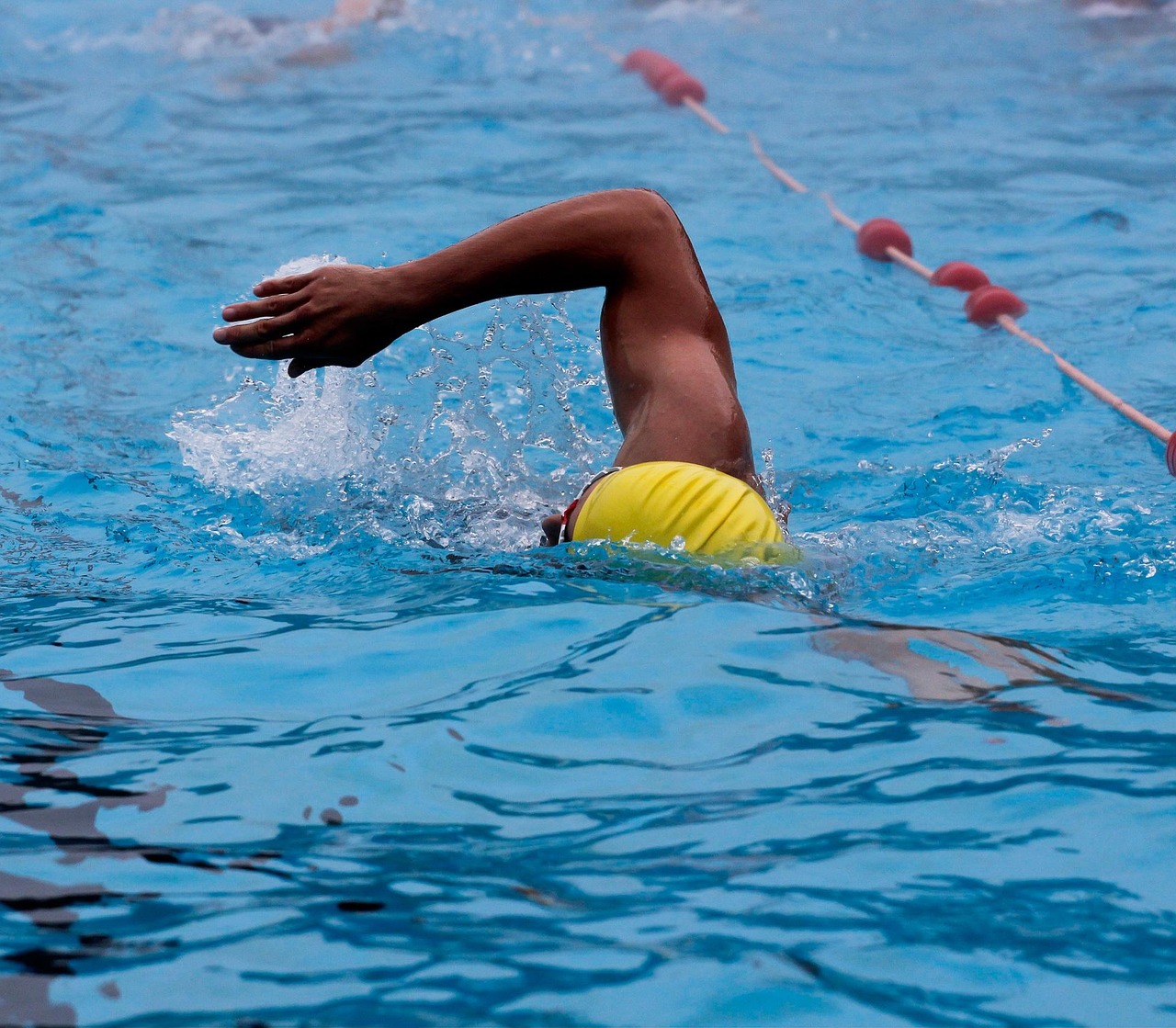texte-Ecole de natation adultes